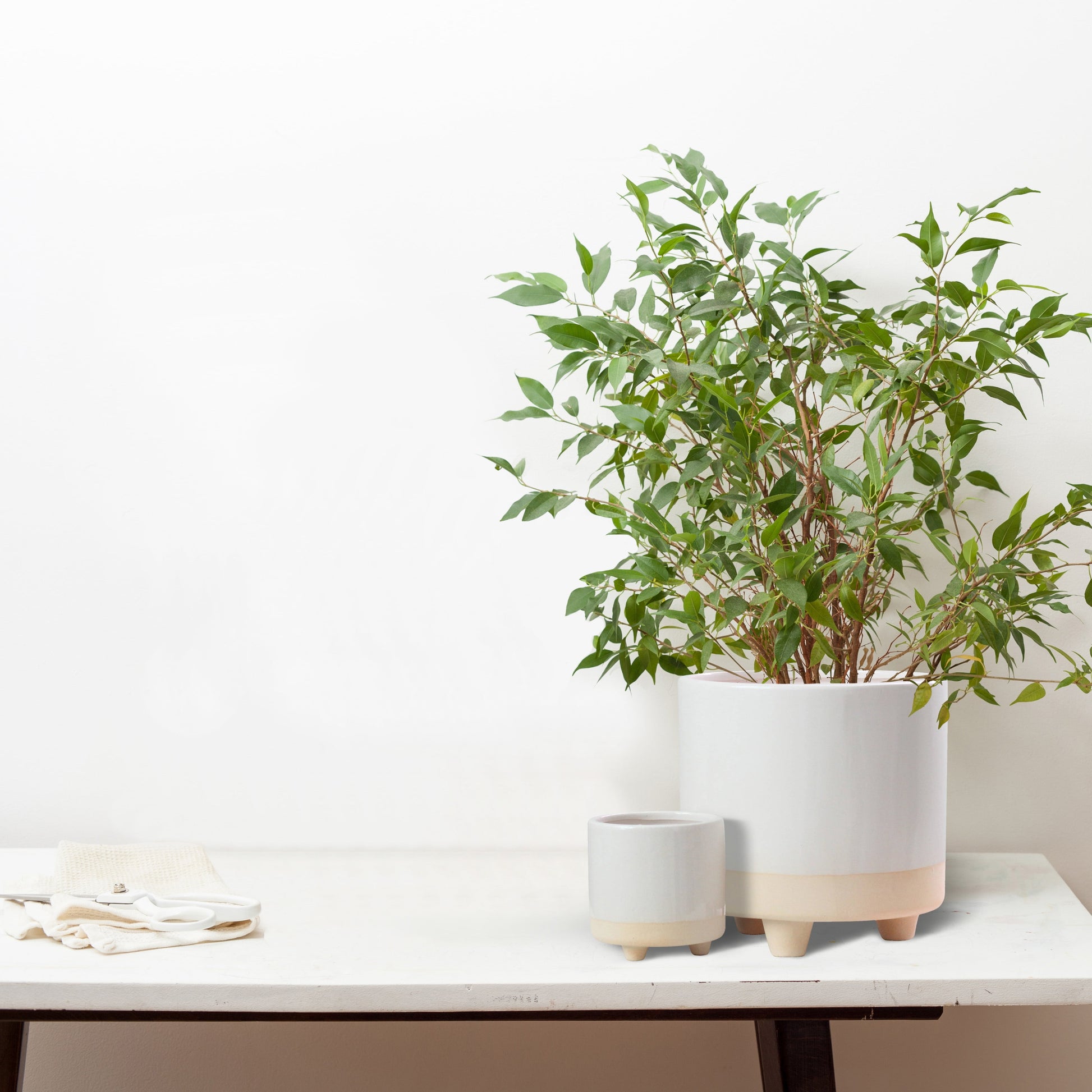 Ceramic Plant Pots Indoor on Legs round - White Sand Planter Set 2 Indoor & Outdoor