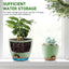 Set of 5 Green Self Watering Plastic Plant Pots with Drainage Holes - Eco-Friendly Indoor/Outdoor Flower Planters for Succulents, Cactus, Snake Plants - Sizes: 7", 6.5", 6", 5.5", 5"