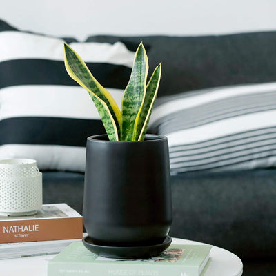 Stylish Black Glazed Ceramic Planter Pots - 5.3 Inch with Drainage Hole & Saucer for Indoor Plant Decor (Plants Not Included)