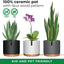 6 Inch Pot Perfect for Indoor Planter Pots- This Ceramic Planter Are Indoor Pots for Plants with Drainage Good as Orchid Pots with Holes- 6 in Planter Used as Ceramic Flower Pot - Plant Not Included