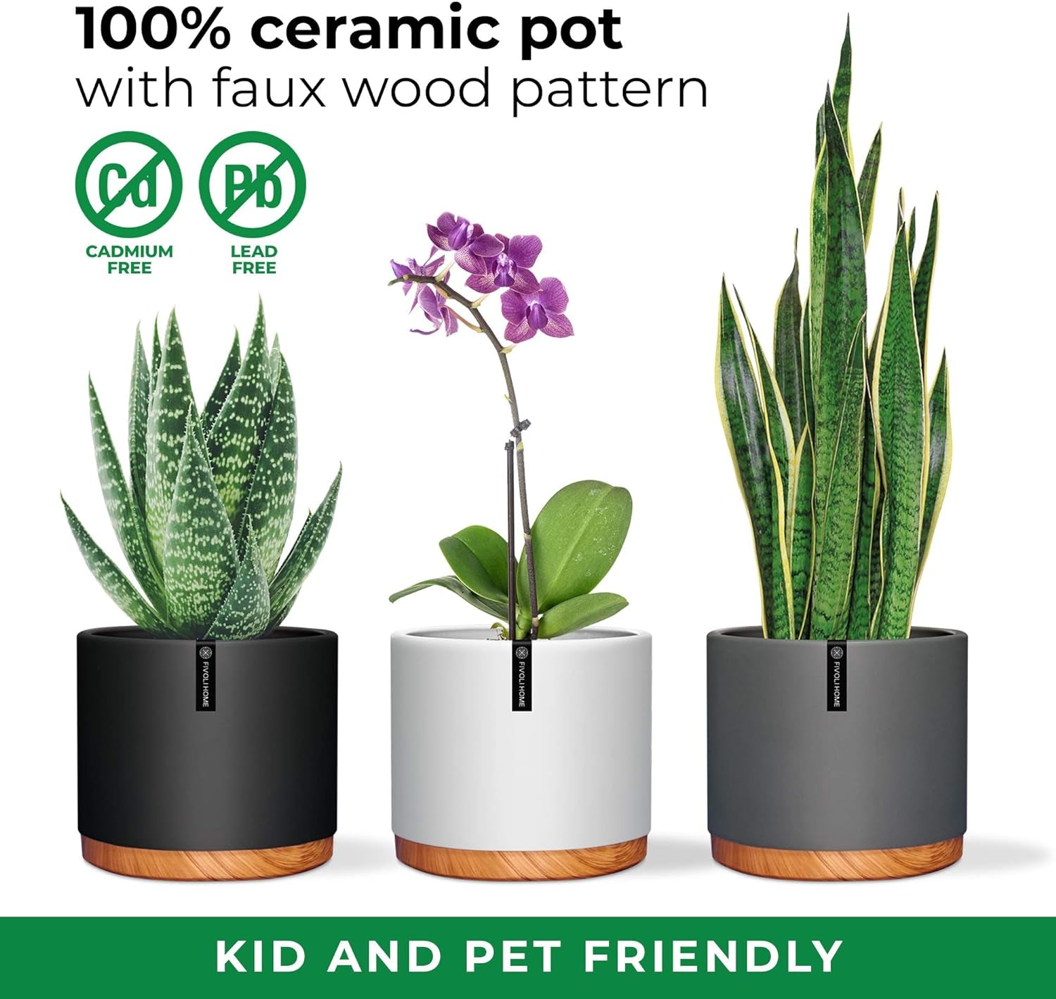 6 Inch Pot Perfect for Indoor Planter Pots- This Ceramic Planter Are Indoor Pots for Plants with Drainage Good as Orchid Pots with Holes- 6 in Planter Used as Ceramic Flower Pot - Plant Not Included