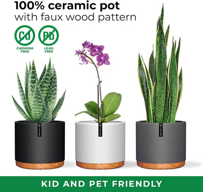 6 Inch Pot Perfect for Indoor Planter Pots- This Ceramic Planter Are Indoor Pots for Plants with Drainage Good as Orchid Pots with Holes- 6 in Planter Used as Ceramic Flower Pot - Plant Not Included