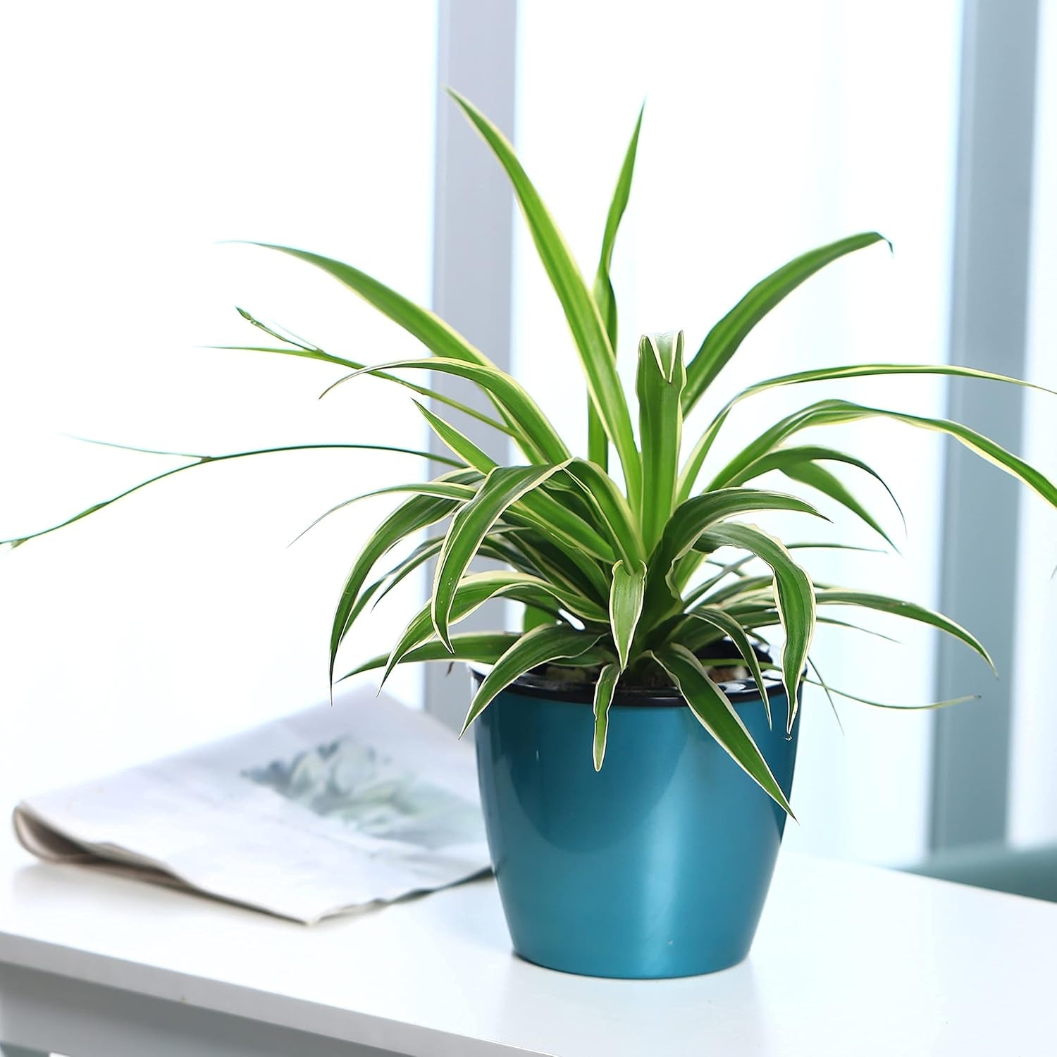 6.7 Inch Self Watering Pots for Indoor Plants, 3 Packs African Violet Pots, Black Wick Pot with Drainage Holes, Self Watering Planters for Orchid, Devil'S Ivy, Silver/Blue/Rose Gold