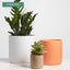 7 Inch (Set of Two) Melon Ceramic Planter. Classic Cylinder Plant Pot for House Plants and Indoor Plants (Drainage + Stopper Included).