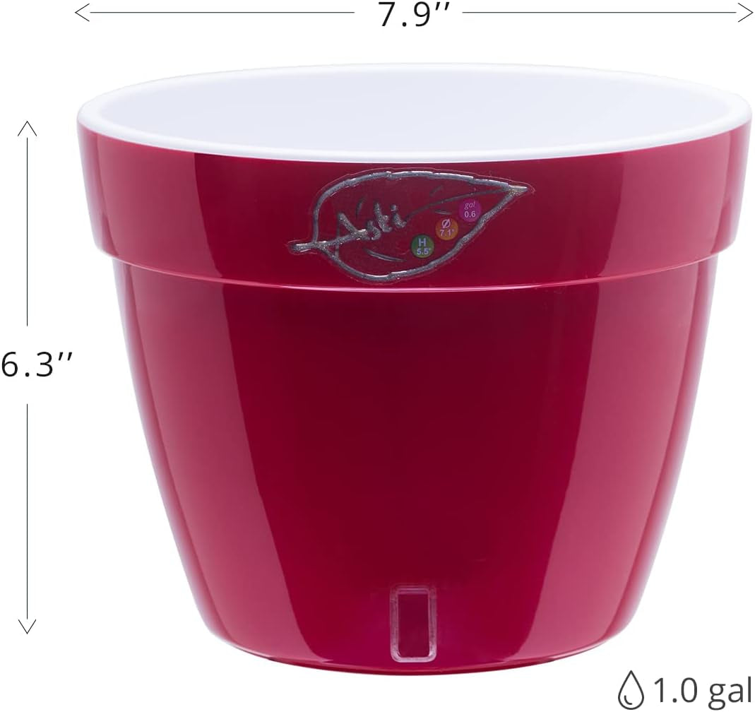 - Self Watering Planter - Modern Flower Pot with Water Level Indicator for All House Plants, Flowers, Herbs (Diameter 7.9", Gold/Black)