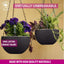 Small 7.5'' Self Watering Hanging Planters for Indoor Plants - Flower Pot with Water Level Indicator for Plants, Hanging Pots - Self Watering Planter Plant Pot- Coco Coir - 2 Pack (Gray)