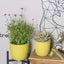 Vibrant Lemon Yellow Ceramic Plant Pots - Set of 2 (6.5" & 5.5") with Drainage Holes for Indoor Plants