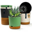 A 6-pack of 6.5-inch self-watering flower pots in white, green, and black, showcasing their modern design.