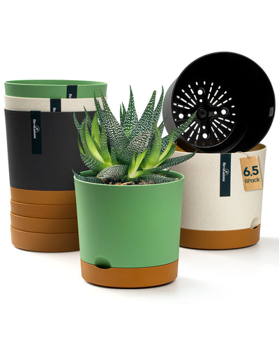 A 6-pack of 6.5-inch self-watering flower pots in white, green, and black, showcasing their modern design.