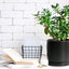 Stylish 8-Inch Matte Black Ceramic Planter Pot with Drainage Hole & Saucer - Perfect for Indoor Plants like Snake Flower, Monstera, and Fiddle Leaf Fig!