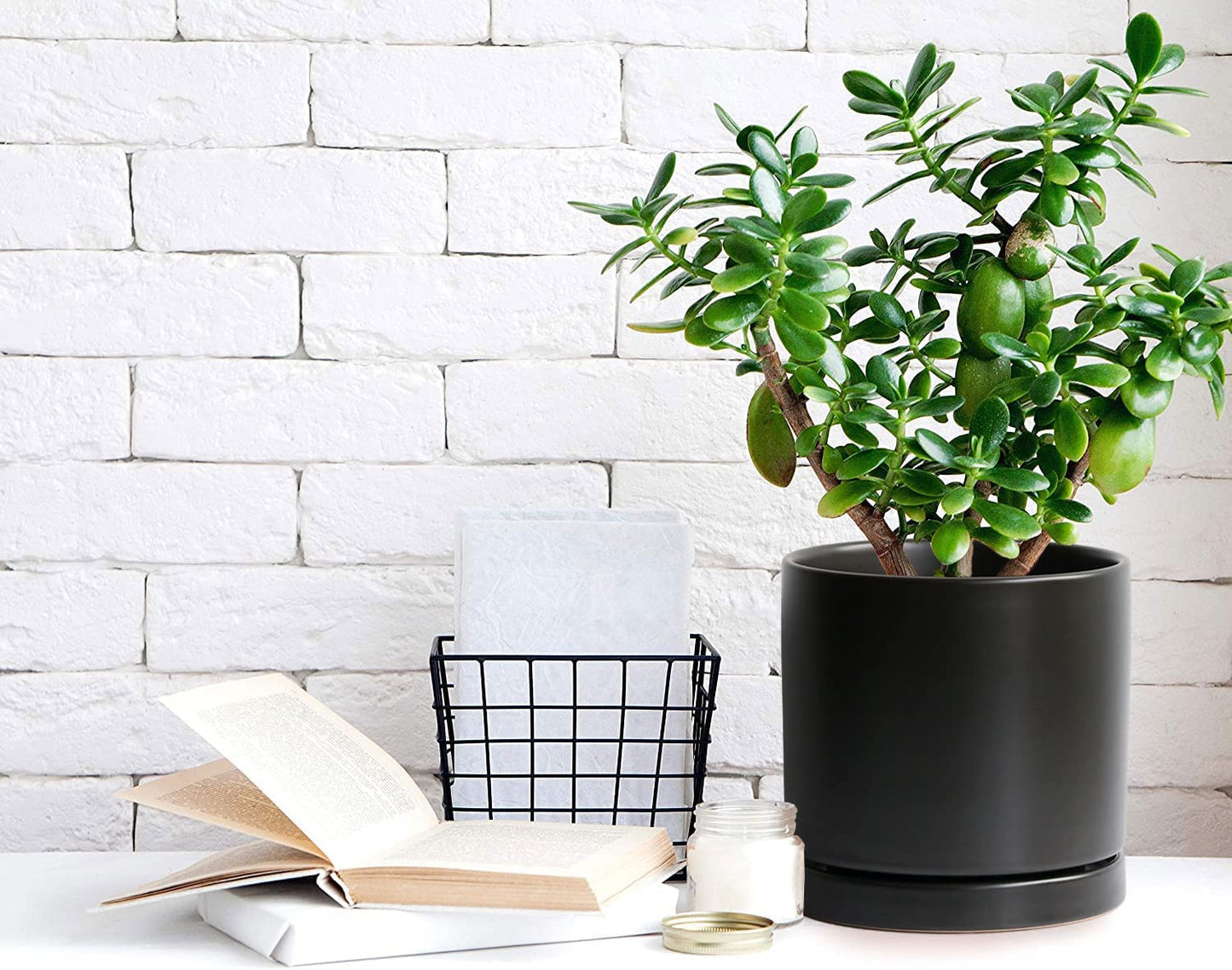 Stylish 8-Inch Matte Black Ceramic Planter Pot with Drainage Hole & Saucer - Perfect for Indoor Plants like Snake Flower, Monstera, and Fiddle Leaf Fig!