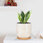 5.5 Inch Ceramic Planter with Drainage Hole and Saucer round Blue Flower Plant Pot for Indoor Plants Set of 2