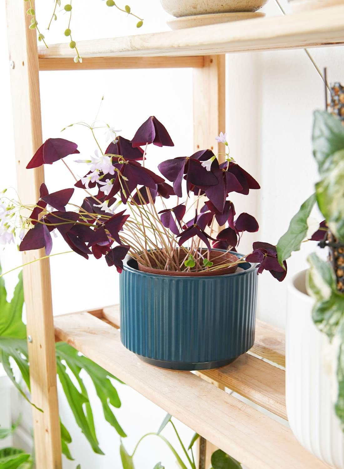 Elegant Navy Ceramic Plant Pots Set of 3 - Large Indoor/Outdoor Planters with Drainage Holes, Perfect for All Your Home & Garden Flowers