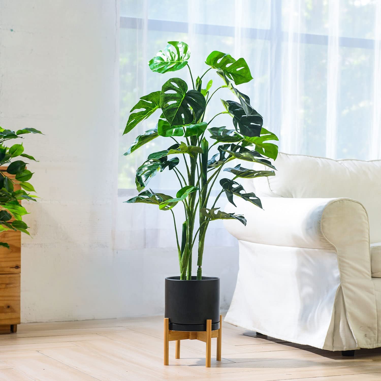 Stylish 8-Inch Matte Black Ceramic Planter Pot with Drainage Hole & Saucer - Perfect for Indoor Plants like Snake Flower, Monstera, and Fiddle Leaf Fig!