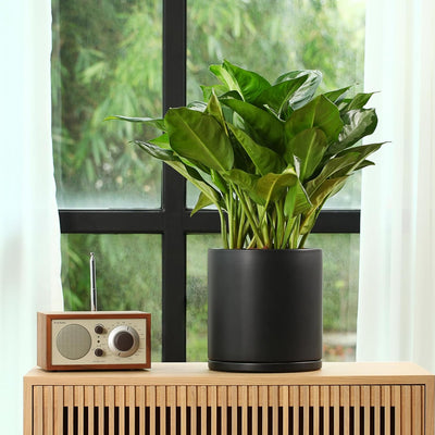 Plant Pots Ceramic Planter for Indoor Outdoor Plants Flowers 10 Inch Matte Black Large Cylinder Flower Pot with Saucer and Drainage Hole,Glazed Finish Interior and Exterior