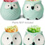 Adorable Set of 4 Turquoise Mini Owl Ceramic Succulent Planters