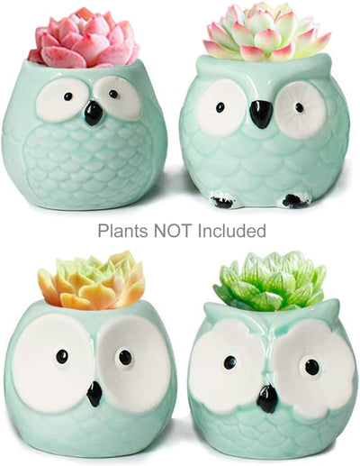 Adorable Set of 4 Turquoise Mini Owl Ceramic Succulent Planters