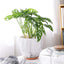 7 Inch Plant Pot with Drainage and Saucer, 5.5 Inch Ceramic Planters Indoor Plants, Flower Pot Outdoor, Marble Planter Pink Indoor Pots for Plants (7"+5.5" Plant Pot and Gold Saucers Inculded)
