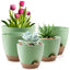 Set of 5 Green Self Watering Plastic Plant Pots with Drainage Holes - Eco-Friendly Indoor/Outdoor Flower Planters for Succulents, Cactus, Snake Plants - Sizes: 7", 6.5", 6", 5.5", 5"