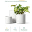Set of 3 (10"+8"+6") Plant Pots with Drainage Hole & Plug for Indoor & Patio Decor, White Indoor Planters