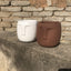 Brown Cement Head Planter - Unique Face Flower Pot with Drainage for Succulents and Plants