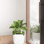 7'' round Self Watering Planter with Water Level Gauge Indoor Home Garden Modern Decorative Planter Pot for All House Plants Flowers Herbs Succulents (3, White Wthout Soil)