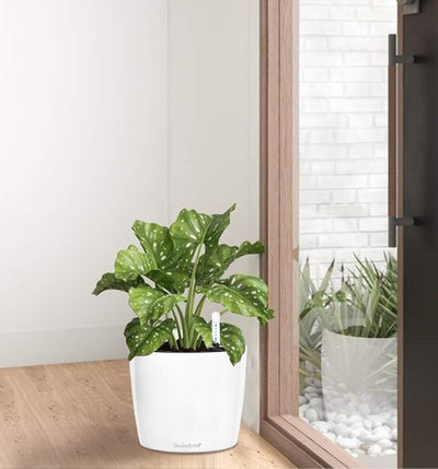 7'' round Self Watering Planter with Water Level Gauge Indoor Home Garden Modern Decorative Planter Pot for All House Plants Flowers Herbs Succulents (3, White Wthout Soil)