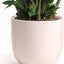 5 Inch (Set of Two) Pink Ceramic Planter. Contour Plant Pot for House Plants and Indoor Plants (Drainage + Stopper Included).