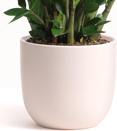 5 Inch (Set of Two) Pink Ceramic Planter. Contour Plant Pot for House Plants and Indoor Plants (Drainage + Stopper Included).
