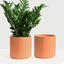 7 Inch (Set of Two) Melon Ceramic Planter. Classic Cylinder Plant Pot for House Plants and Indoor Plants (Drainage + Stopper Included).