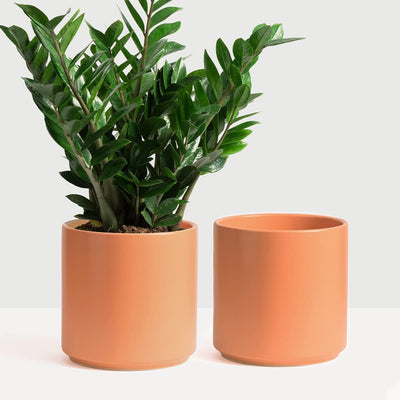 7 Inch (Set of Two) Melon Ceramic Planter. Classic Cylinder Plant Pot for House Plants and Indoor Plants (Drainage + Stopper Included).