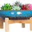 Succulent Pots - Large Succulent Planters Pots with Drainage, 10 Inch Ceramic Bonsai Pot with Stand round Shallow Planter for Indoor/Outdoor Plants Decorative Garden Cactus Flower Container Bowl