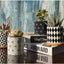 Set of 4 Stylish Ceramic Succulent Planter Pots with Drain Holes & Bamboo Trays – Perfect for Indoor & Outdoor Cacti and Flowers