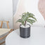 Stylish 6-Inch Black Ceramic Planter with Drain Hole - Perfect for Indoor Succulents & Outdoor Garden Decor