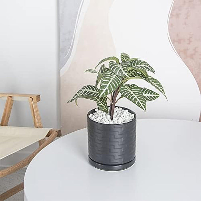 Stylish 6-Inch Black Ceramic Planter with Drain Hole - Perfect for Indoor Succulents & Outdoor Garden Decor