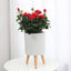 Planter Pot Smart Self Watering Pots, 7.3 in W / 4.3 in D Indoor Flower Pot with Stand Water Shortage Alarm Drainage System (Grey