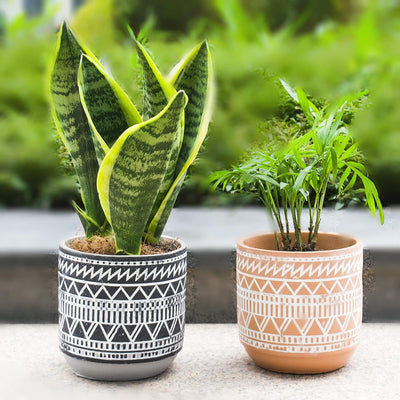 Succulent Planter Flower Pot Vintage Style - Handcraft Geometry Cement Succulent Pots with Drainage Indoor Outdoor Home Garden Plants Vase Orchid Cactus Herb Planter Set of 2 (Mexican Style Set 2)