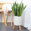 Planter Pot Smart Self Watering Pots, 7.3 in W / 4.3 in D Indoor Flower Pot with Stand Water Shortage Alarm Drainage System (Grey