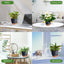 5Pack Self Watering Plant Pots with Drainage Hole and Water Storage, 7/6.5/6/5.5/5 Inch Self Watering Planters, Self-Watering Indoor Planters for Flower, Plants, Herbs, Cactus