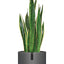 6 Inch Pot Perfect for Indoor Planter Pots- This Ceramic Planter Are Indoor Pots for Plants with Drainage Good as Orchid Pots with Holes- 6 in Planter Used as Ceramic Flower Pot - Plant Not Included