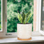 5.5 Inch Ceramic Planter with Drainage Hole and Saucer round Blue Flower Plant Pot for Indoor Plants Set of 2