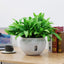 Bowl Shaped Sturdy Plastic Flowerpot, Garden Self Watering Hanging Planter, Creative Water Storage and Release Planter Pot, Indoor Outdoor Decorative Planting Pot