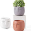Head Design Planter Pot with Drainage Hole, Elegant Cement Face Planter for Flower (Grey)