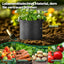 10 Gallon Grow Bags, Fabric Pots for Plants Potato Planter Grow Garden Bags to Grow Vegetables Tomato Planting Growing Bags Smart Plant Pot Container Gardening for Outdoor, Black Nonwoven (5 Pack)