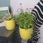 Vibrant Lemon Yellow Ceramic Plant Pots - Set of 2 (6.5" & 5.5") with Drainage Holes for Indoor Plants