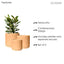 Rome Terracotta Plant Pots Garden Planters Set 3 Indoor Outdoor Ceramic Plant Pots with Saucers