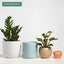7 Inch (Set of Two) Grey Ceramic Planter. Contour Plant Pot for House Plants and Indoor Plants (Drainage + Stopper Included).
