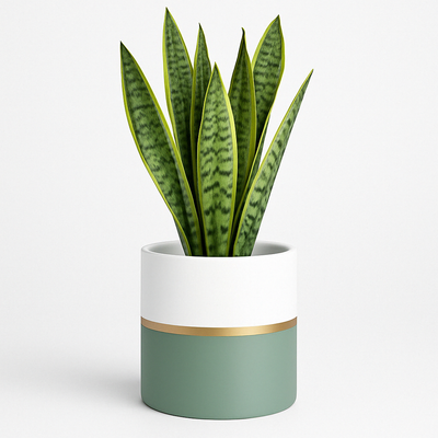 Modern Ceramic Pot – 4.7" Green & Gold Accent