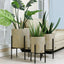 Set of 3 Gray and Gold Metal Cachepot Planters with Black Stand