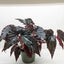 Begonia 'Black Magic'